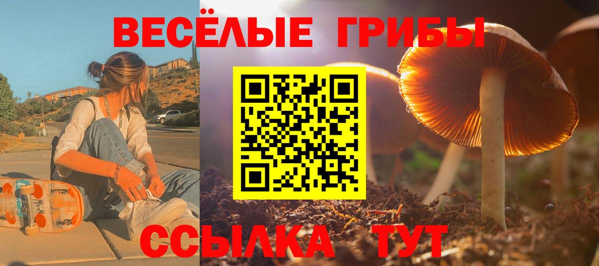 Псилоцибиновые грибы мухоморы Лениногорск