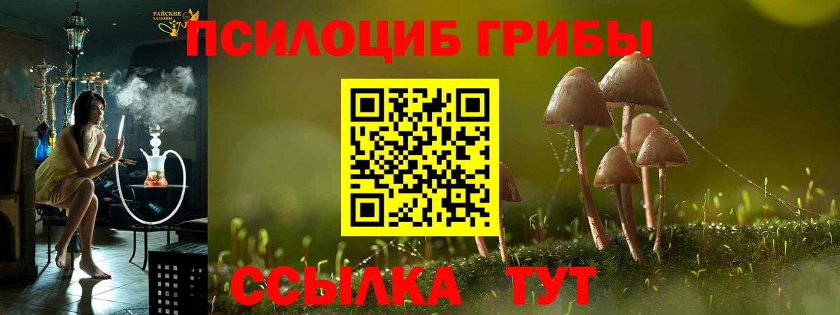 Псилоцибиновые грибы ЛСД  Псилоцибиновые грибы прущие грибы  Лениногорск  Вход с VPN 